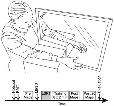 The TMS Motor Map Does Not Change Following a Single Session of Mirror Training Either with Or without Motor Imagery